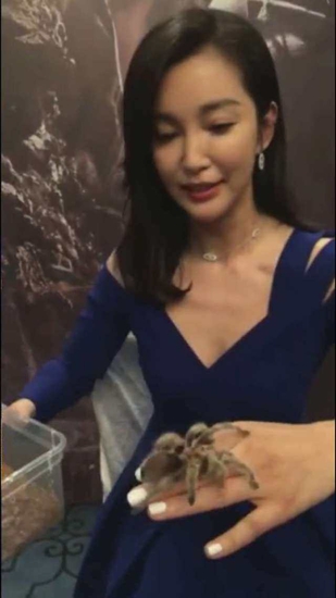 李冰冰直播玩蜘蛛 “火龙果”在其手臂上爬来爬去!