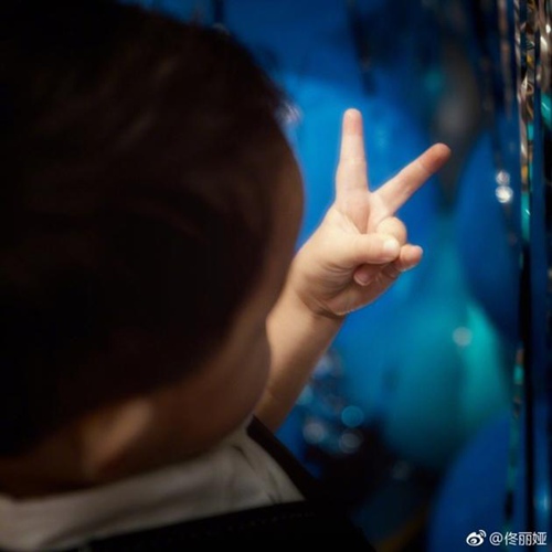 佟丽娅为儿子庆生 佟丽娅赵飞燕无人能及 佟丽娅星店地址