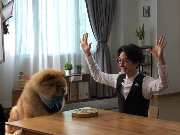 三个造型拍广告 蔡瀚亿绷不住萌萌松狮狗