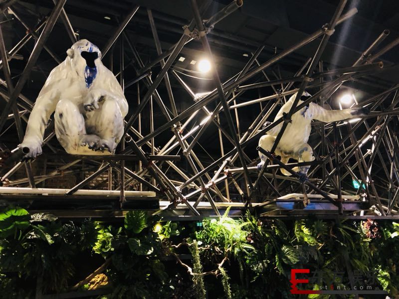 CEI 黄玉龙PLAYHOUSE个展
