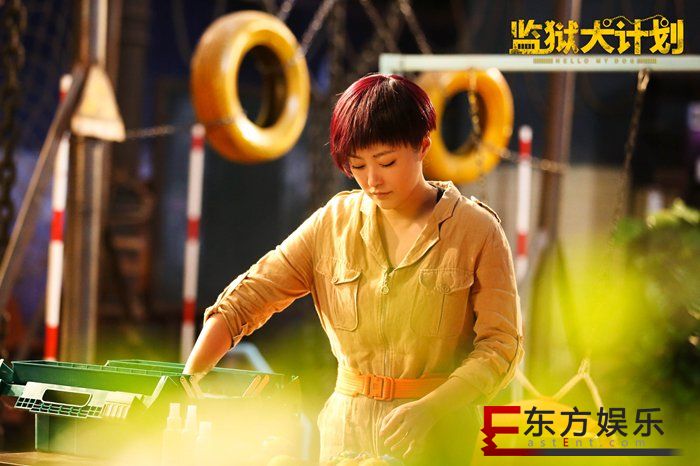《监狱犬计划》联手“领养日”开启25城点映 影迷笑中带泪期待爆棚