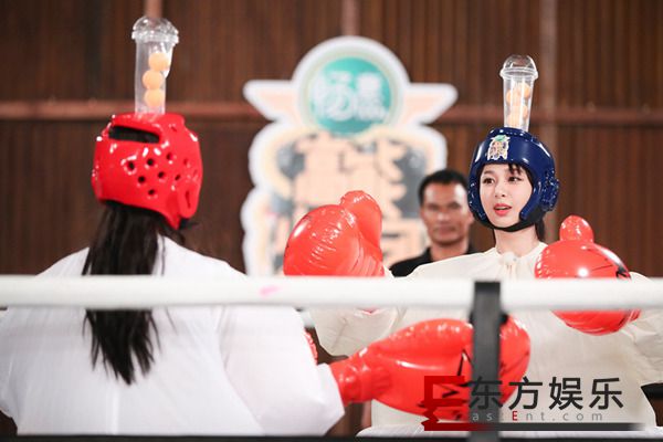 《高能》杨紫自称“杨门女将”,林彦俊挑战泰拳