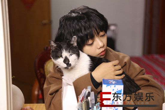 《萌宠入殓师》曝光“逃婚”版情感预告 萌妹大叔上演温情故事