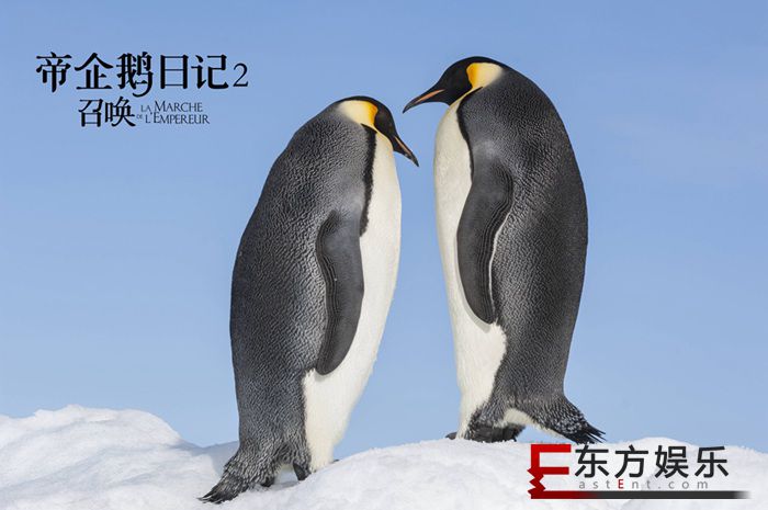 经典纪录片《帝企鹅日记2》即将上映 原班人马升级呈现南极奇观