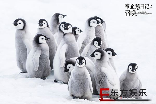 《帝企鹅日记2》睽违12年震撼回归 江一燕暖心演唱推广曲