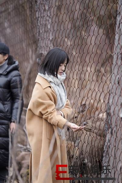 《亲爱的·客栈2》武艺王鹤棣比扳手腕 结局令沈月吃惊
