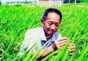 袁隆平获未来科学大奖 希望杂交水稻能覆盖全世界!