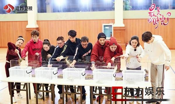 江苏卫视《最美的时光》即将暖心上线,专访制片人张烨镝:“让所有成年人看了节目之后
