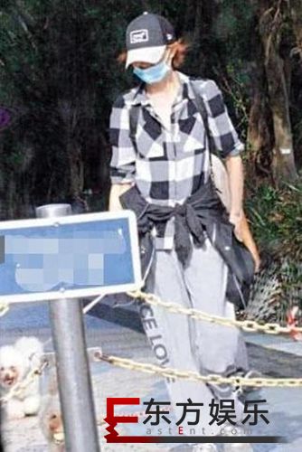 张曼玉搬进平民区 瘦骨嶙峋独自遛狗惹人怜!