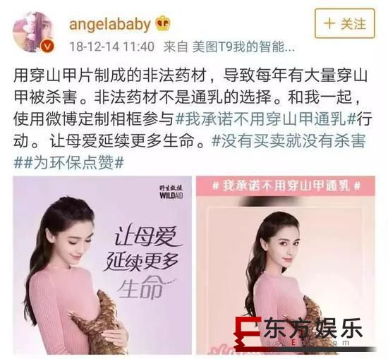 杨颖拍广告帮倒忙 穿山甲通乳被广而告之!
