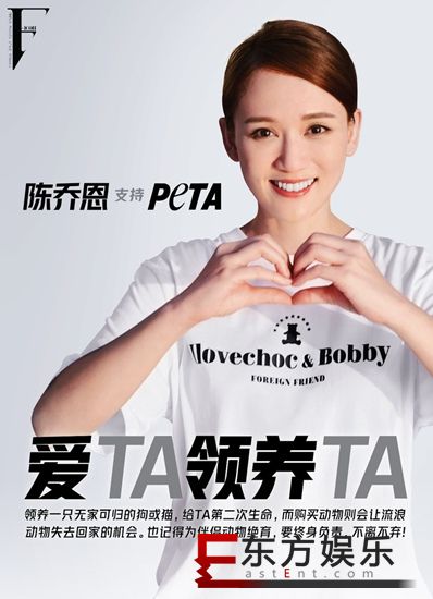 陈乔恩为流浪动物比心 爱TA请选择领养TA