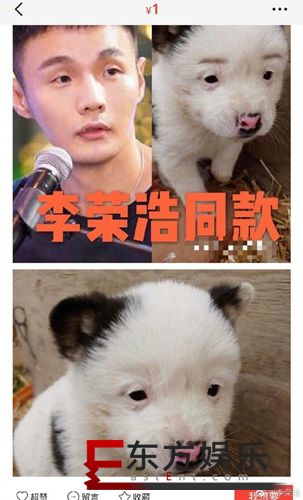 李荣浩同款狗狗售价1元 本尊回应:为什么卖那么便宜?