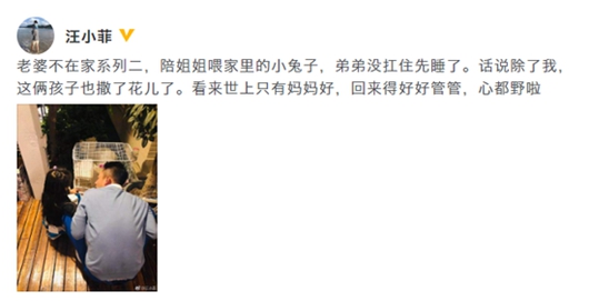 汪小菲陪女儿喂兔子 网友却称日常想老婆系列!