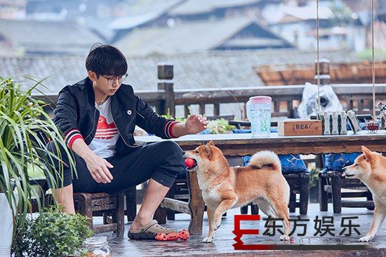 彭昱畅《向往的生活》怒立减肥誓言 新式赶牛犁地花样多