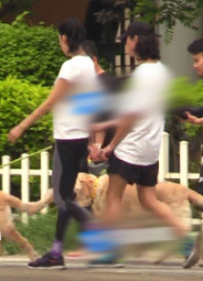 张蓝心恋情曝光 与导演许宏宇牵手遛狗状态亲密!