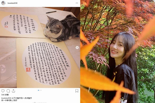 李小璐晒手抄心经照 做一件事静心就好!