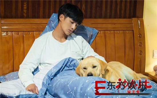 《神犬小七3》小七考核受阻 姜潮宋妍霏全力备战
