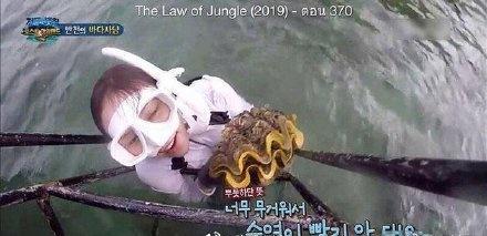 嘉宾替节目组背锅 网友请愿追责丛林法则节目组