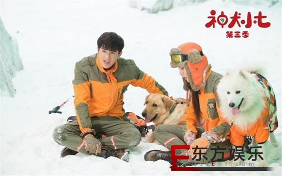 《神犬小七3》步枪围剿行动壮烈牺牲 救援队陷入哀痛