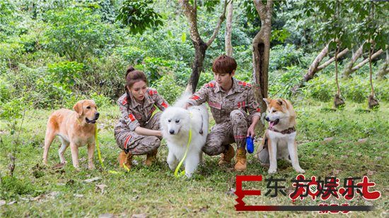 《神犬小七3》人宠联盟救助边父 边慕安心“彩排求婚”甜蜜升级