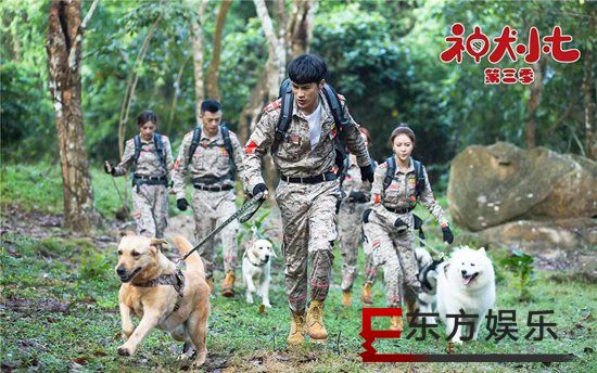 《神犬小七3》救援队地震现场遭遇泥石流 边慕安心性命陷危机