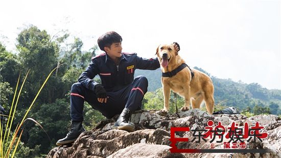 《神犬小七3》地震现场救援难度升级 众人面临生死考验
