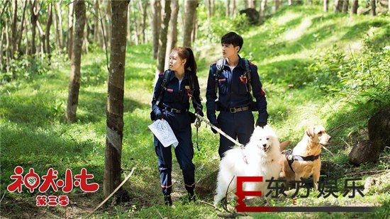 《神犬小七3》非会员收官在即 救援队不忘初心坚守梦想