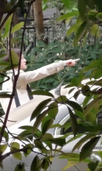 孙俪请求停止偷拍 街头拍戏连续几日被影响