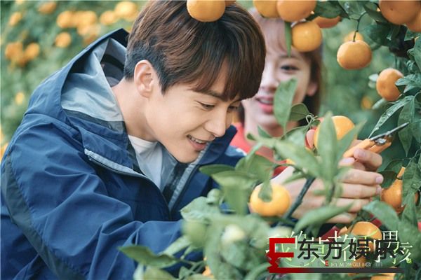 《我的莫格利男孩》喜提求婚 马天宇杨紫传递低碳爱情观