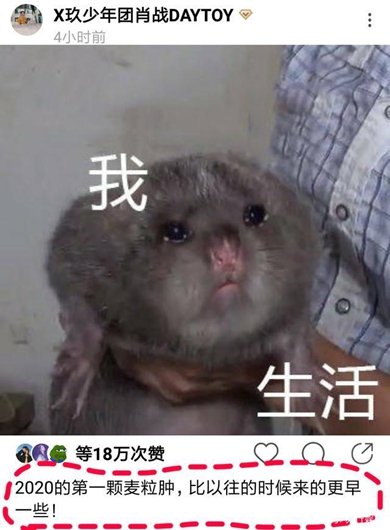 肖战麦粒肿引热议 发表情包诉苦