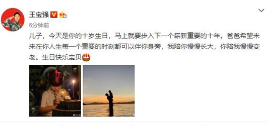 王宝强为儿子庆生 马蓉晒表情包惋惜又无奈!
