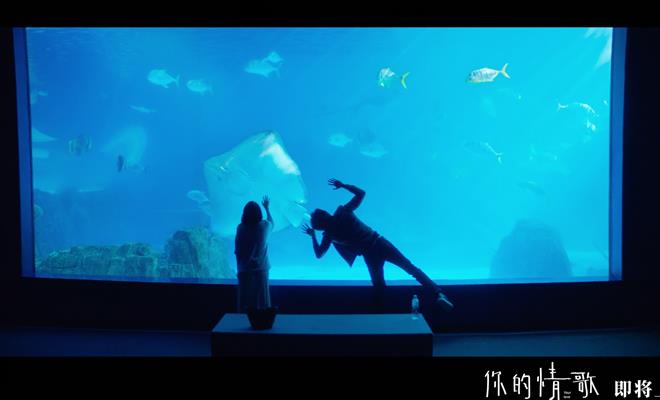 《你的情歌》先导预告来袭 柯佳嬿深陷爱情抉择困境