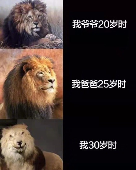 陈学冬说不要每次都让我来辟谣 无奈发声cue粉丝帮忙